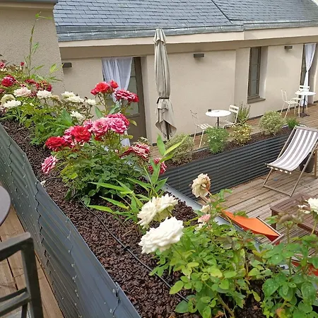 Buffon 3* アンジェ